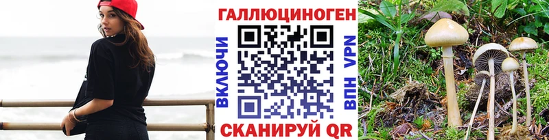 Галлюциногенные грибы мухоморы  где найти   Красный Холм 