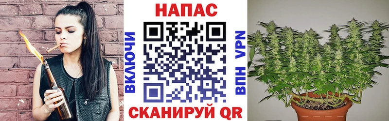 Бошки Шишки Amnesia  цены наркотик  Красный Холм 
